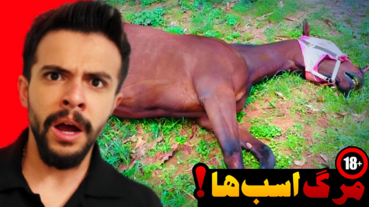 سریال داستان‌های کوتاه و ترسناک - ابوالفضل ایکس مستر - فصل ۱ - مرگ اسب‌ها