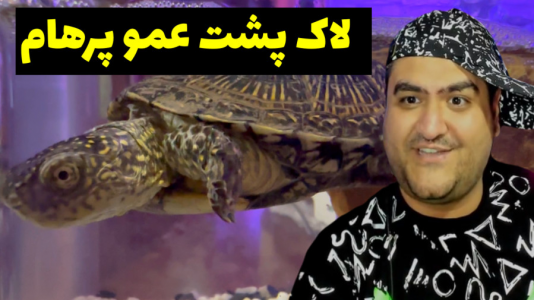 سریال ولاگ و چالش با پرهام گیم پلی - فصل ۱ - لاک پشت پرهام گیم پلی