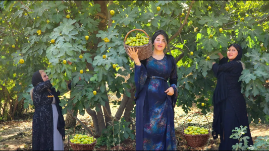 سریال آشپزی روستایی با ویلیج ایونتز - فصل ۱ - قسمت ۱۱
