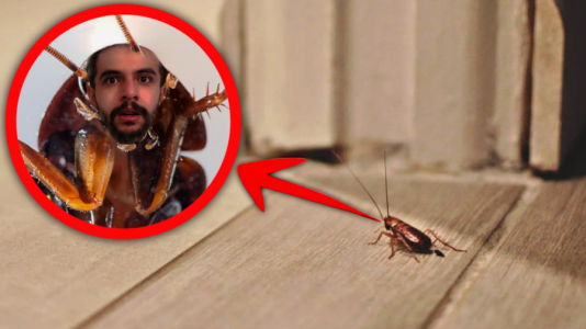  استریم بازی‌های شبیه‌ساز - ابوالفضل ایکس مستر - فصل ۱ - اگه ایکس مستر واقعا سوسک بود !؟