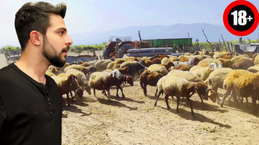 سریال داستان‌های کوتاه و ترسناک - ابوالفضل ایکس مستر - فصل ۱ - گله گوسفند