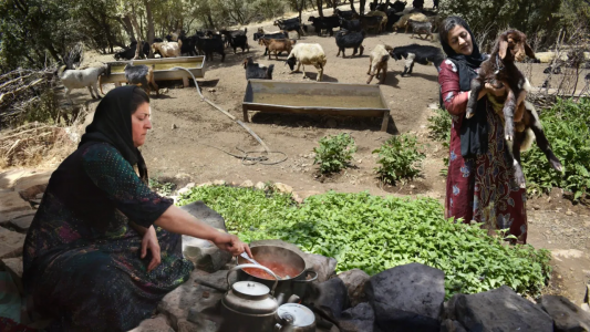 سریال آشپزی روستایی با ویلیج ایونتز - فصل ۱ - قسمت ۲۴