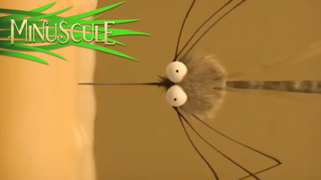 ۱۵-سکانسی از انیمیشن زندگی حشرات کوچولو
