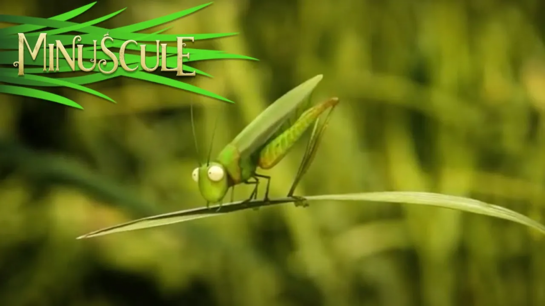 ۹-سکانسی از انیمیشن زندگی حشرات کوچولو