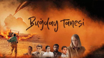 پوستر دانه گندم