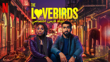 پوستر مرغ عشقها