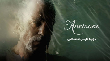 پوستر شقایق