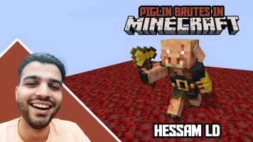 پوستر استریم ماینکرفت: پیگلین بروت - حسام ال‌دی