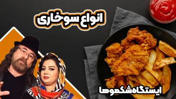 پوستر انواع سوخاری - ایستگاه شکموها