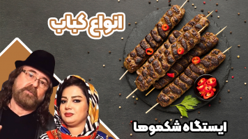 پوستر انواع کباب - ایستگاه شکموها