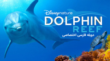 پوستر صخره دلفین