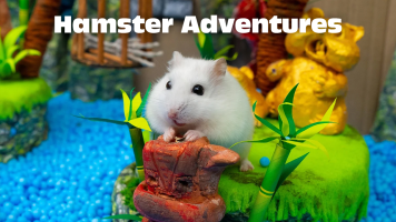 پوستر ماجراجویی همستر