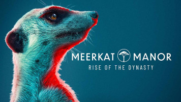 پوستر قلمرو میرکات ها: آغاز سلسله