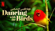 سریال رقص با پرندگان - فصل ۱ - قسمت ۱