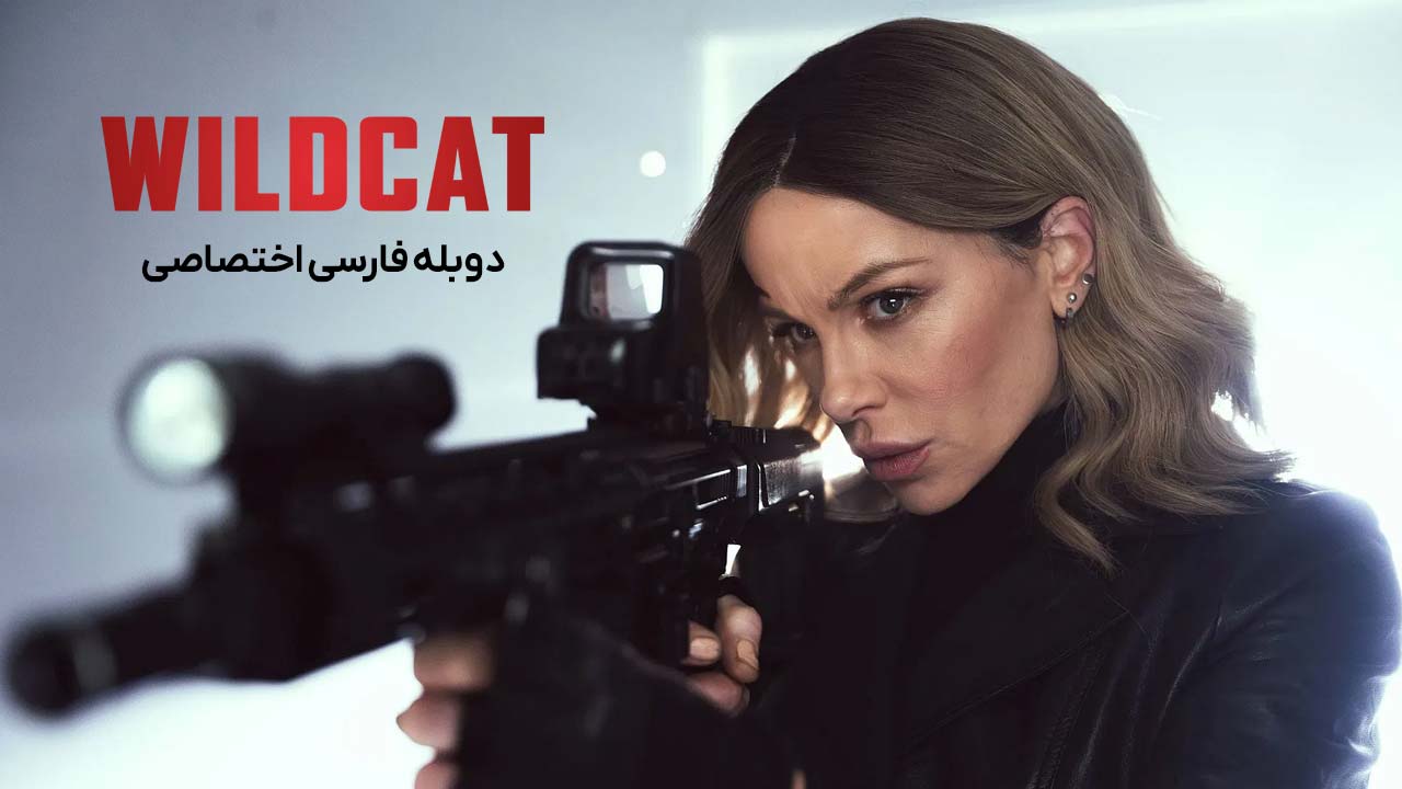 گربه وحشی گربه وحشی