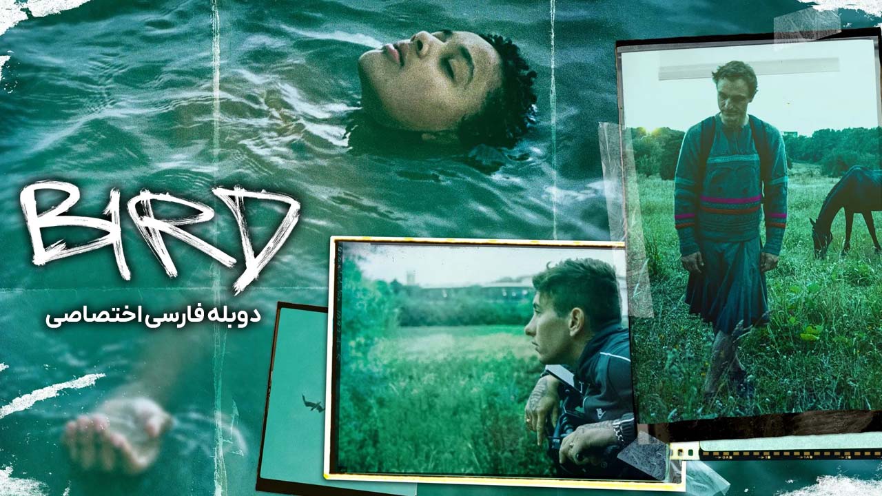 پوستر پرنده
