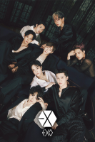 پوستر گروه موسیقی EXO
