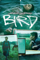 پوستر پرنده پوستر پرنده