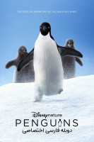 پوستر پنگوئن‌ها