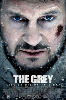 آیکون فیلم خاکستری The Grey