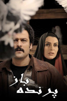 پوستر پرنده باز