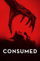 پوستر اسیر شده