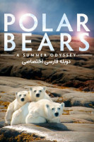 پوستر خرس‌های قطبی: یک ادیسه تابستانی