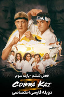 آیکون سریال کبری کای Cobra Kai 2018