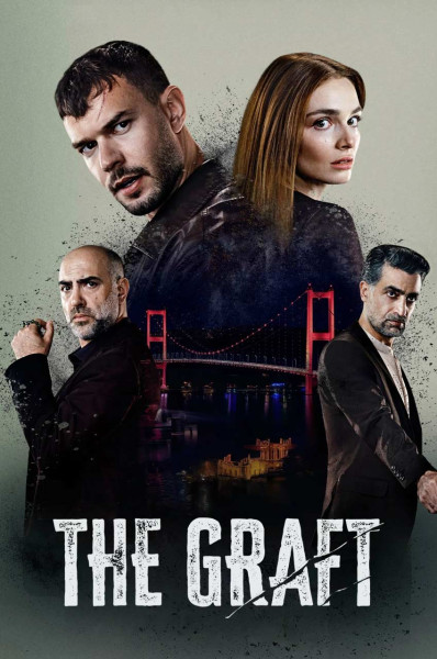 آناتومی آشوب