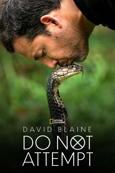 دیوید بلین: تلاش نکن