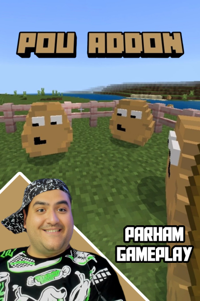 استریم ماینکرفت: سرزمین پو - پرهام گیم پلی