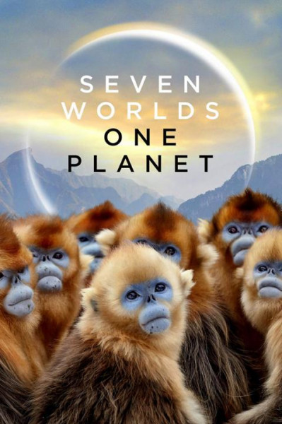 هفت جهان یک سیاره