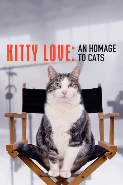 عشق بچه گربه: دوستی با گربه ها