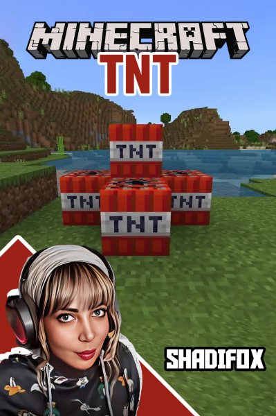 استریم ماینکرفت: تی‌ان‌تی - شادی فاکس