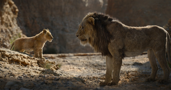 ۳-سکانسی از فیلم شیر شاه