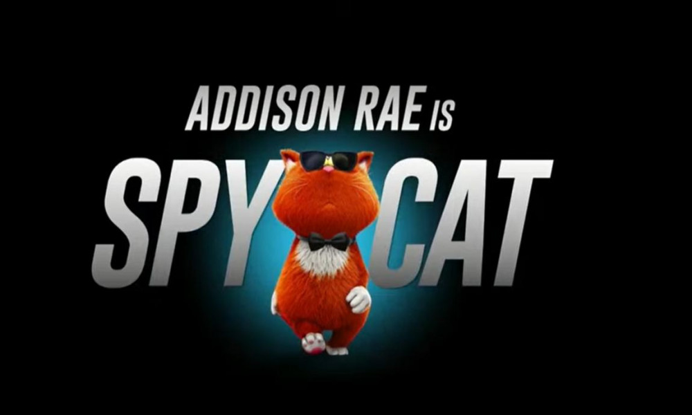 ۴-سکانسی از انیمیشن گربه ی جاسوس