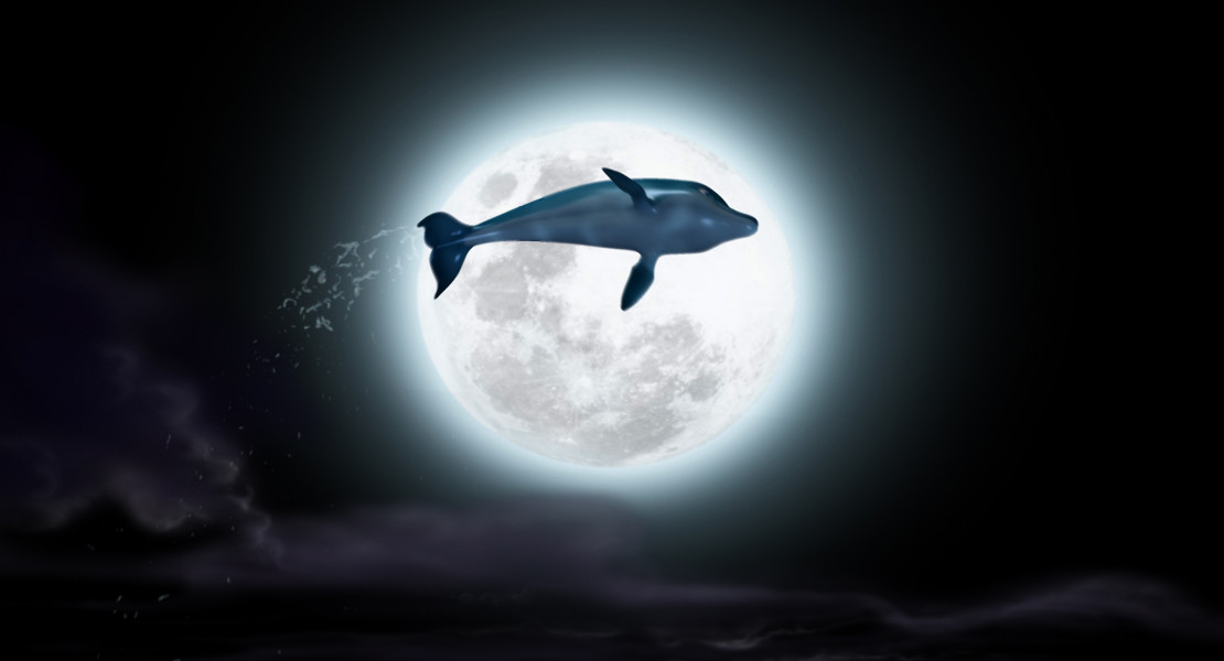 ۱-سکانسی از انیمیشن آرزوی دلفین