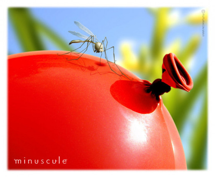 ۲-سکانسی از سریال زندگی حشرات