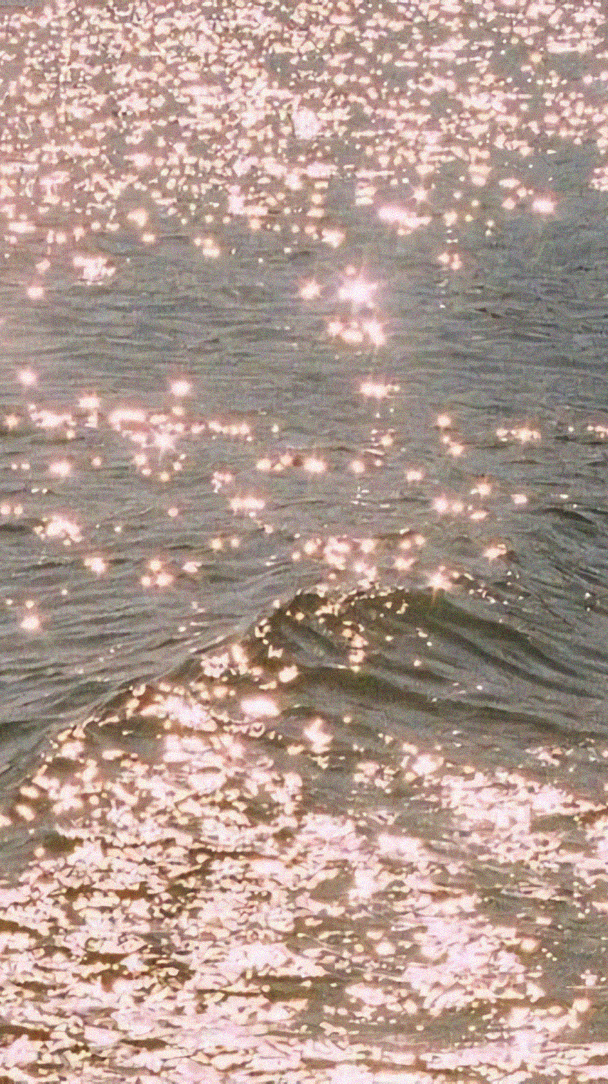اسکرین شات 5 برنامه aesthetic vsco wallpapers