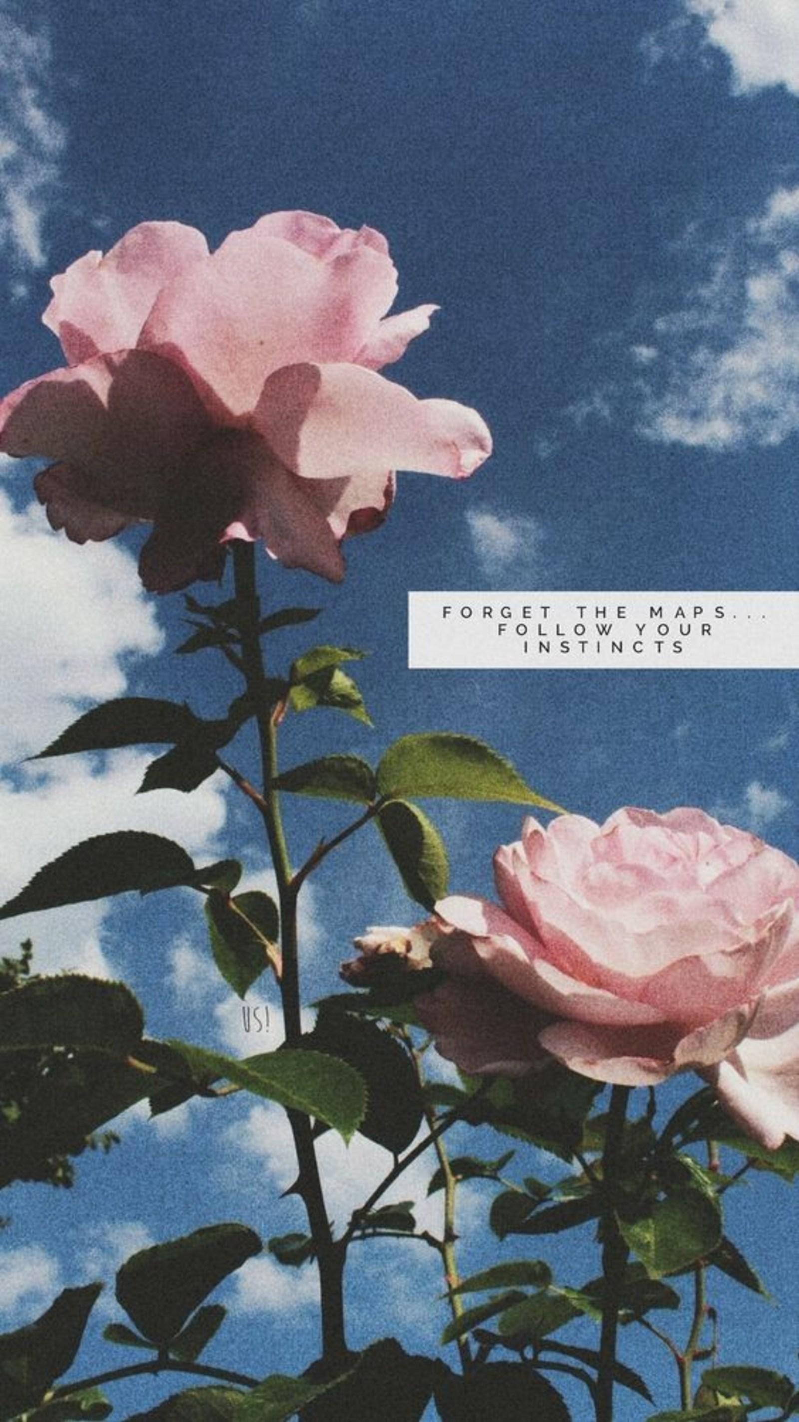 اسکرین شات 4 برنامه aesthetic vsco wallpapers