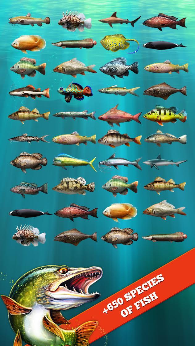 اسکرین شات 3 بازی Let's Fish: Fishing Simulator
