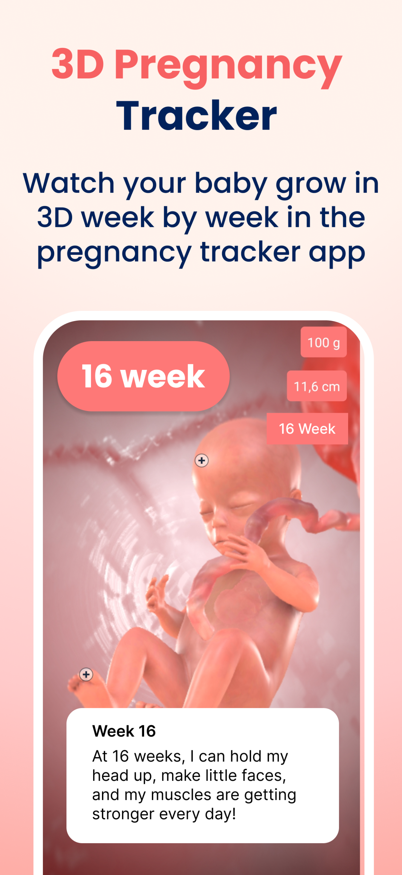 اسکرین شات 3 برنامه HiMommy: Ovulation & Pregnancy