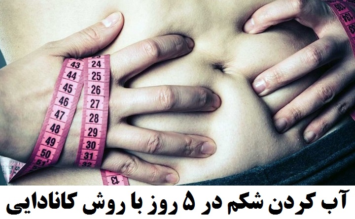 اسکرین شات 1 برنامه آب کردن شکم در 5 روز