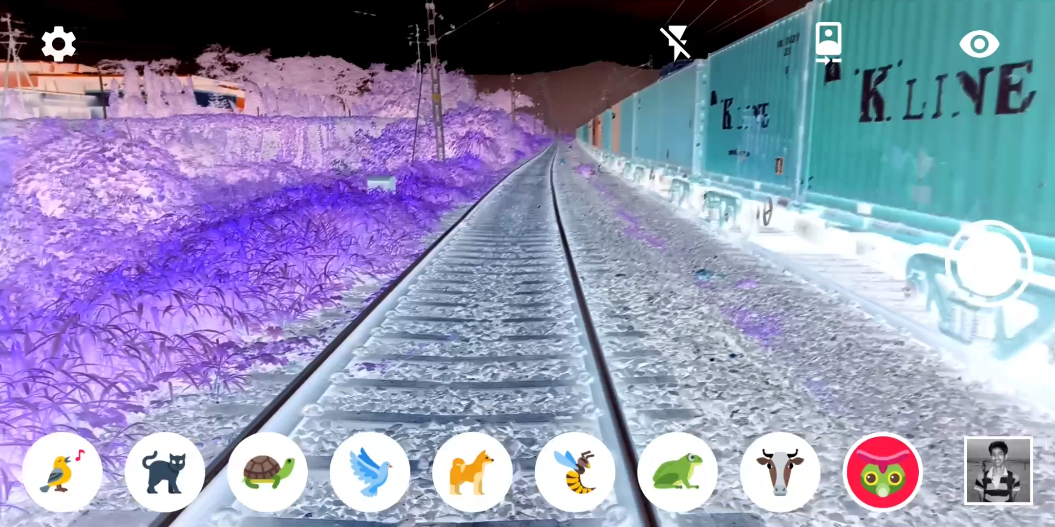 اسکرین شات 3 برنامه Animal Vision : OpenCV Filters