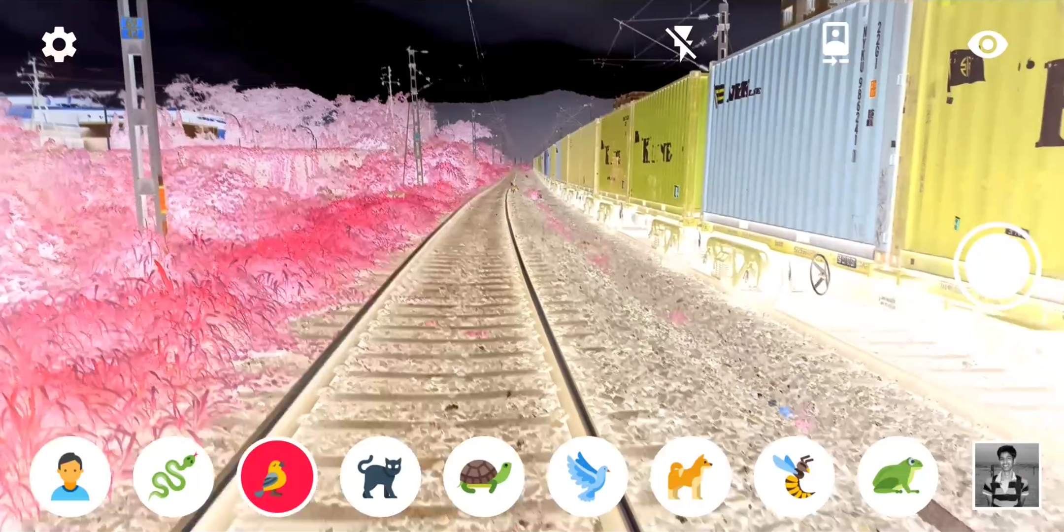 اسکرین شات 1 برنامه Animal Vision : OpenCV Filters