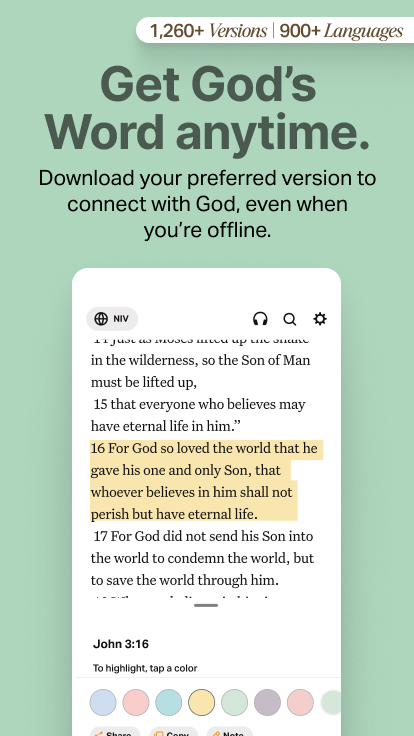 اسکرین شات 2 برنامه Holy Bible Offline NIV KJV App