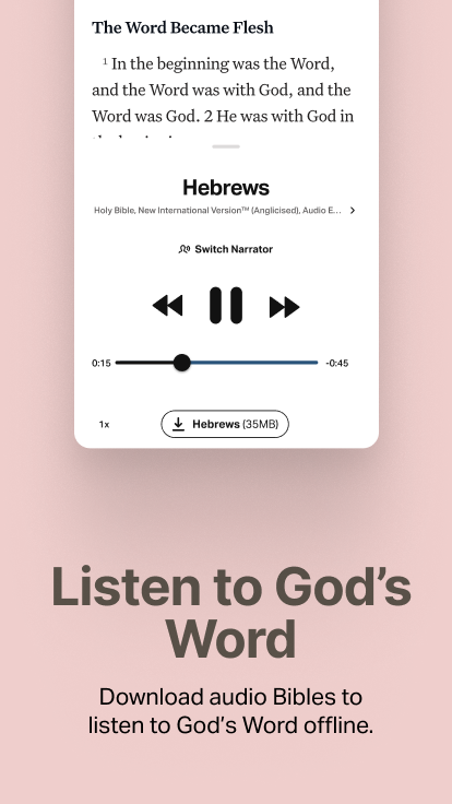 اسکرین شات 3 برنامه Holy Bible Offline NIV KJV App