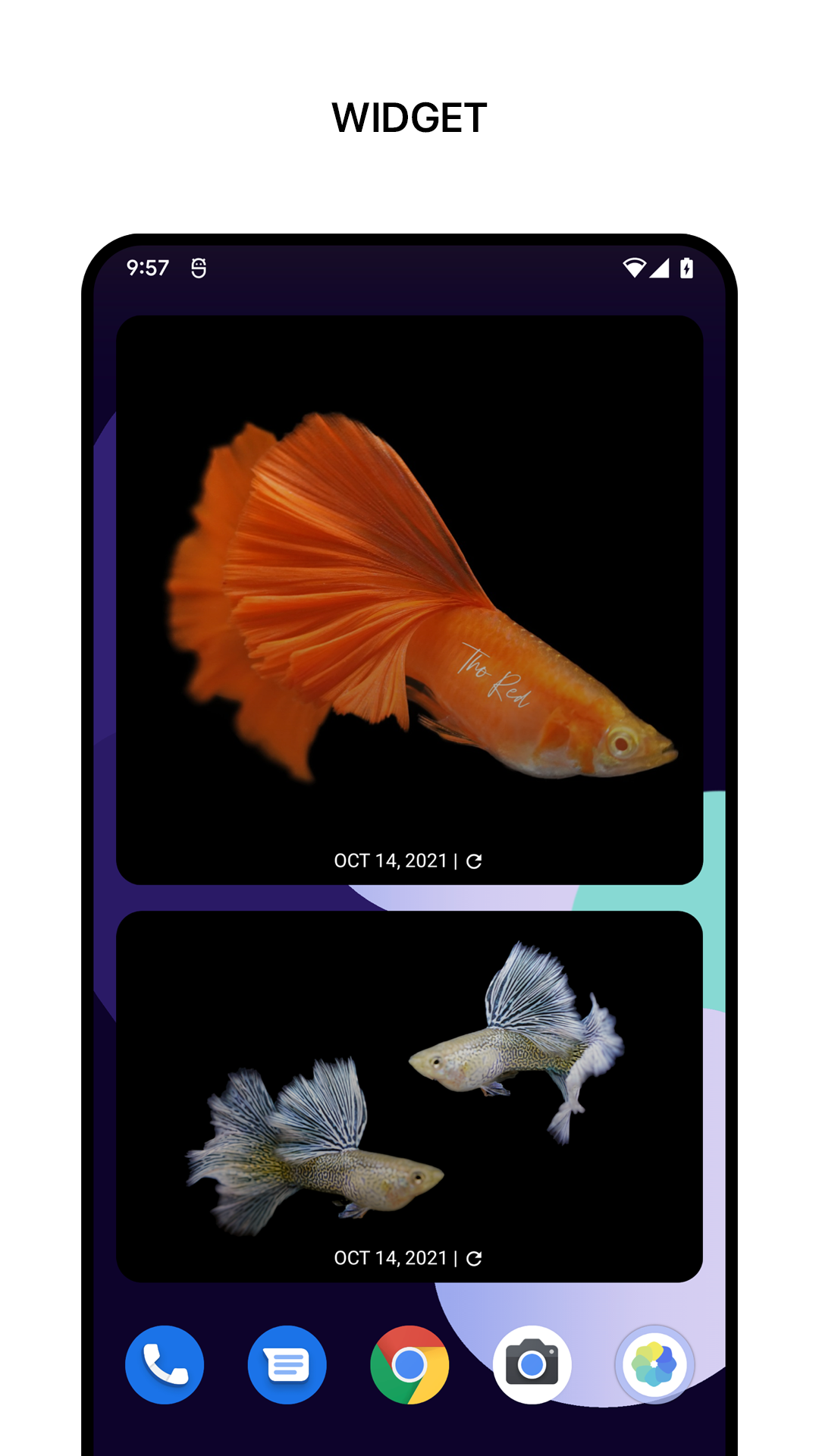 اسکرین شات 6 برنامه 1Gallery: Photo Gallery/Vault