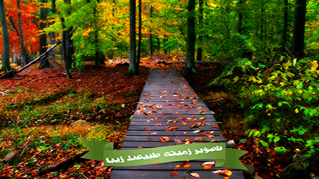 اسکرین شات 1 برنامه تصویر زمینه طبیعت زیبا