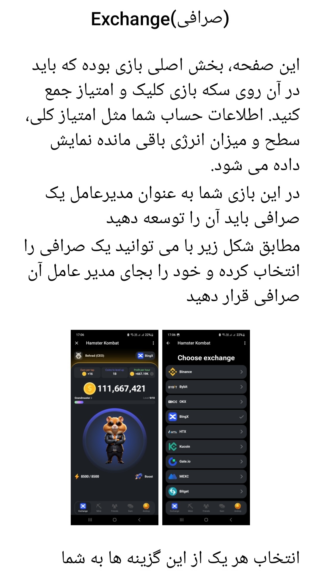 اسکرین شات 4 برنامه آموزش بازی همستر کامبت